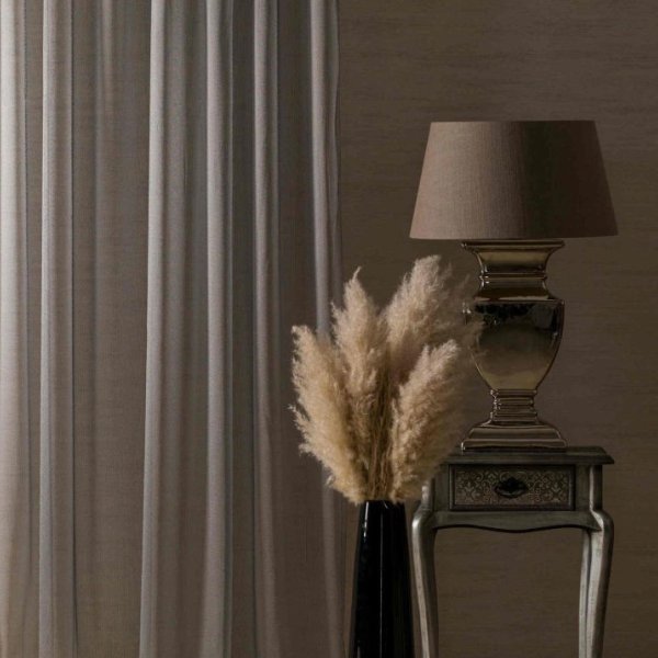 Ezüst fényáteresztő